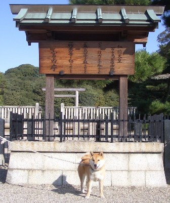 ninntoku-4