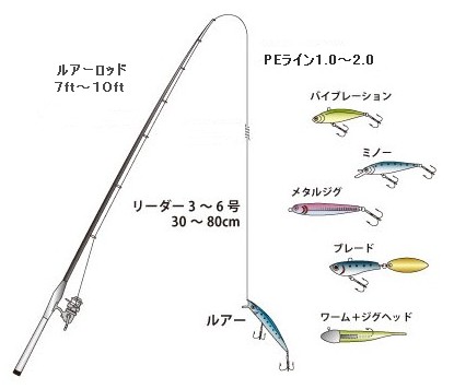 超初心者でも簡単 カサゴ攻略 海釣り入門 釣りは気分で釣りロマン