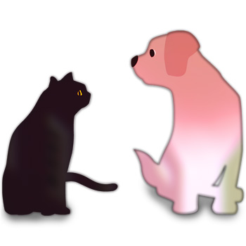 重ね重ね…