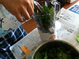ミキサーに入れて・・・