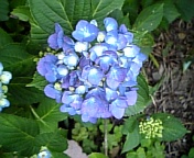 090608_173607.jpg