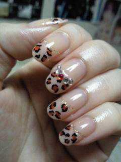 201010180457001.jpg