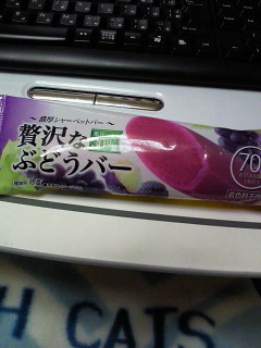 201103180025000.jpg