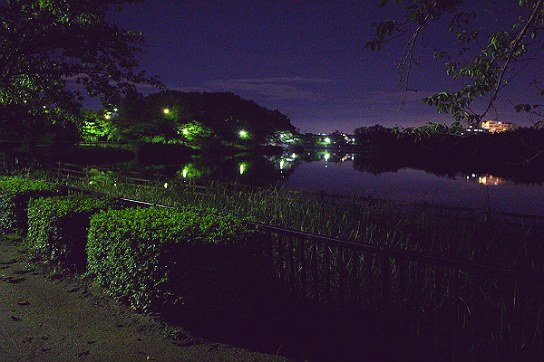 IMG_0485blog.jpg