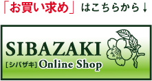 SHIBAZAKI(·Ú°æÂôĦ¥·¥Ð¥¶¥)on line Store