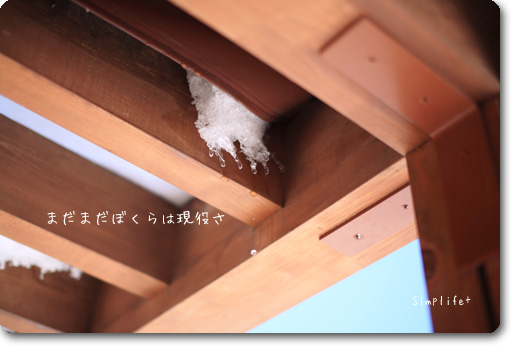 飛騨高山の雪