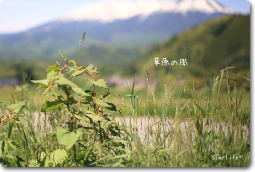 草原の風