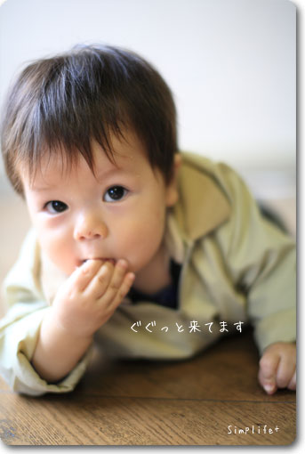 11ヶ月の成長期