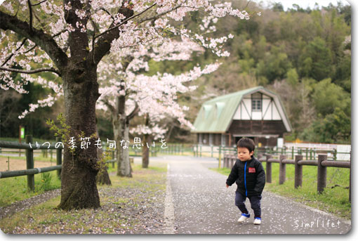 畜産センター桜