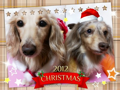 クリスマス