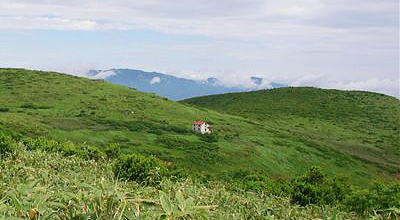 登山道