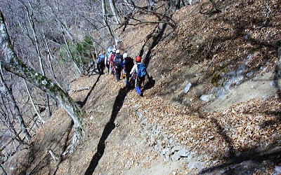 登山道
