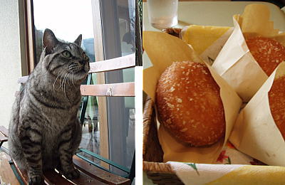 トラちゃんとカレーパン