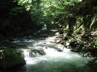 入渓