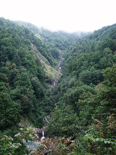 丸岡谷