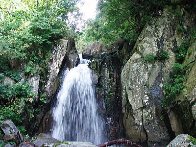 滝