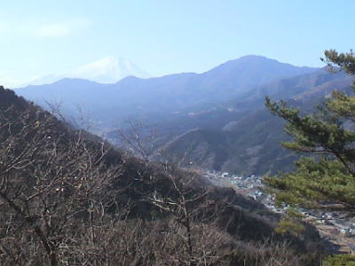 秋葉山から