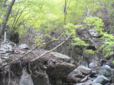 岩水沢出合い
