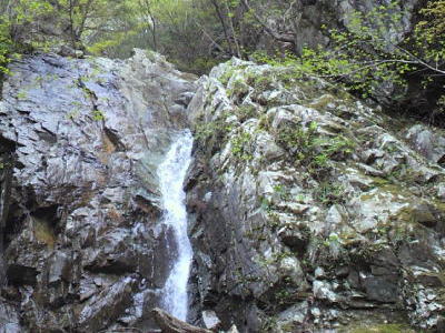13mの滝