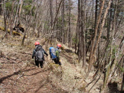 登山道に出た