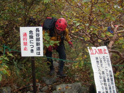 新道出口