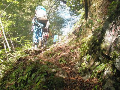 登山道