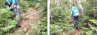 登山道