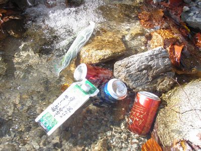 ビールを冷やす