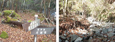 出合い