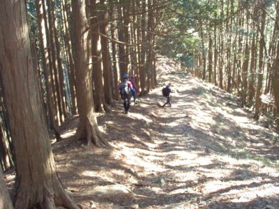 登山道