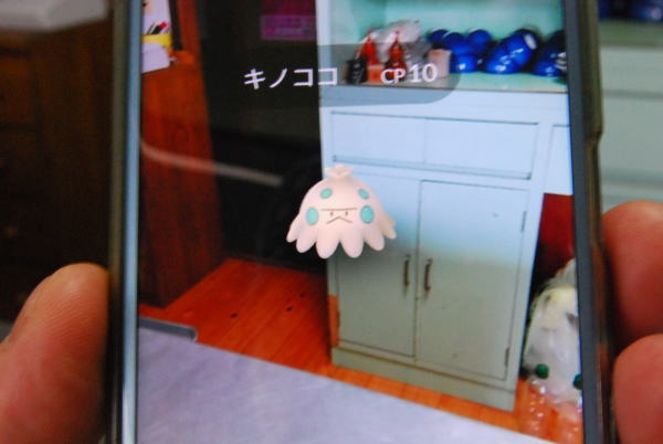 キノココ