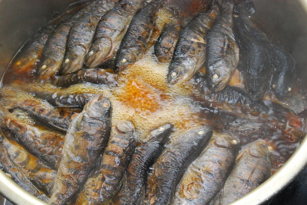 ヤマメの甘露煮