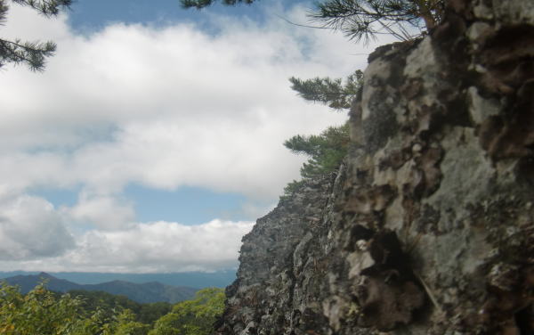 岩茸採り