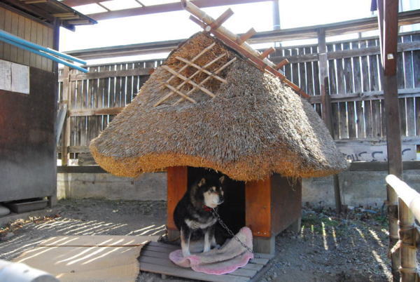 茅葺屋根の犬小屋