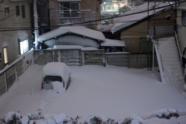 _MG_3616.jpg