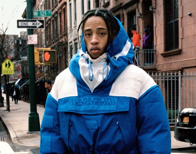 VINTAGE NAPAPIJRI | the Apartment