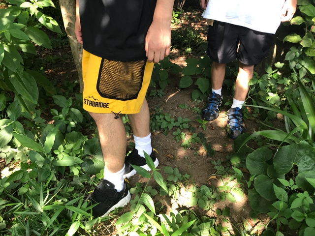 STABRIDGE INNER CITY EXPLORER SHORTS Ｌ 152144242_o1.jpg?