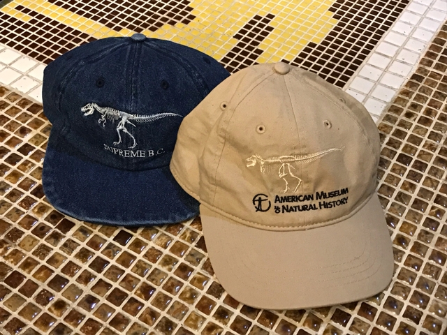 【レア】アメリカ自然史博物館　限定 キャップ American Museum of Natural History CAP アメリカンミュー