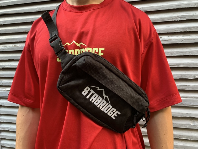 STABRIDGE×jansport 物凄い