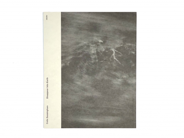 Colin Sussingham 『Disappear Into Earth』 | the Apartment