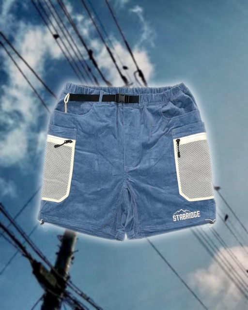 STABRIDGE × GRIP SWANY EXPLORER SHORTS Lの+inforsante.fr