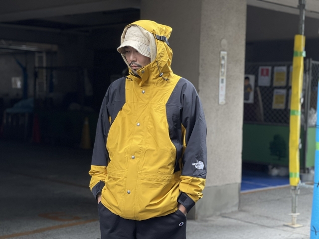 Down × Shell | the Apartment Down × Shell | the Apartment
