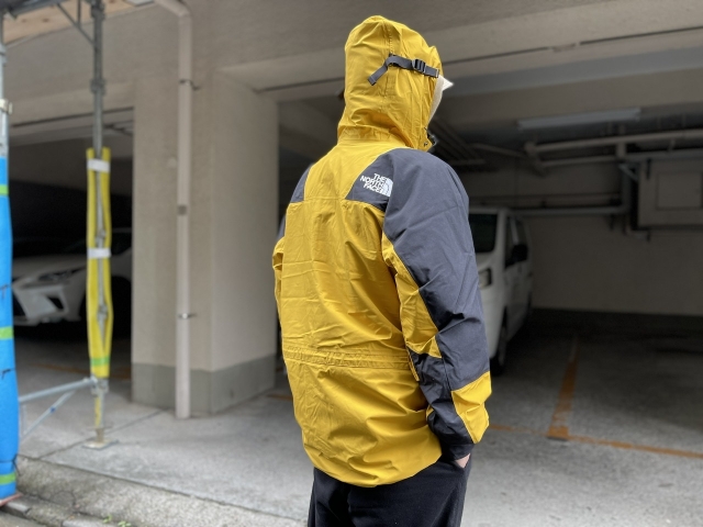 Down × Shell | the Apartment Down × Shell | the Apartment