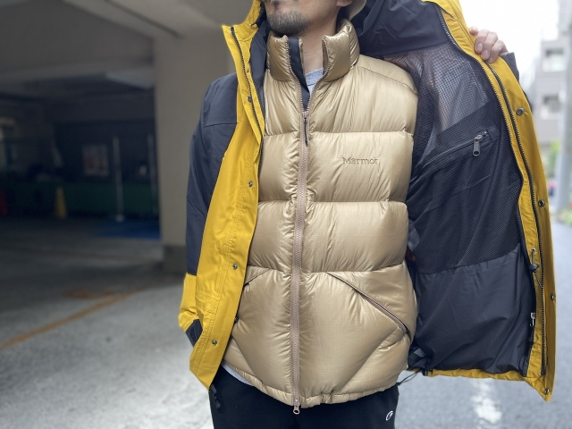 Down × Shell | the Apartment