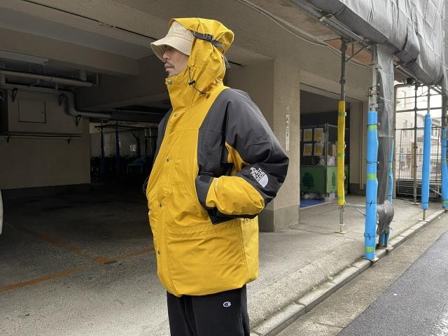 Down × Shell | the Apartment Down × Shell | the Apartment