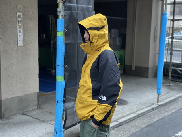 New Arrivals! | the Apartment