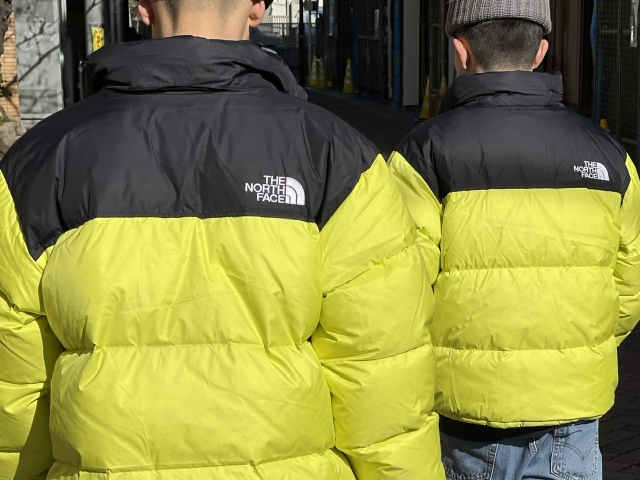 1996 Nuptse | the Apartment