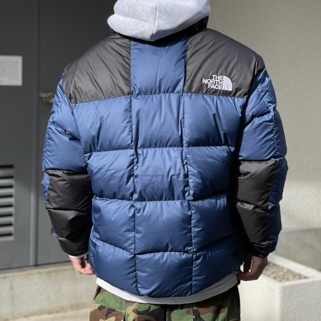 Black bubbly North Face Goose | the Apartment