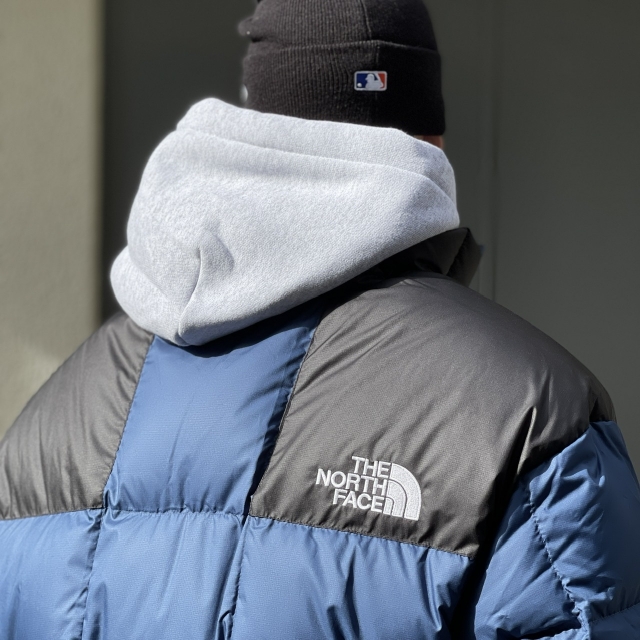 USモデルTHE NORTH FACE L-XL the apartment Spring | the Apartment