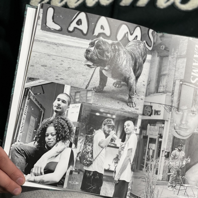 LAAMS | the Apartment